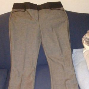 Express Columnist Pant